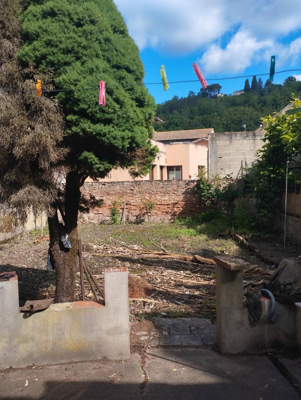 jardin