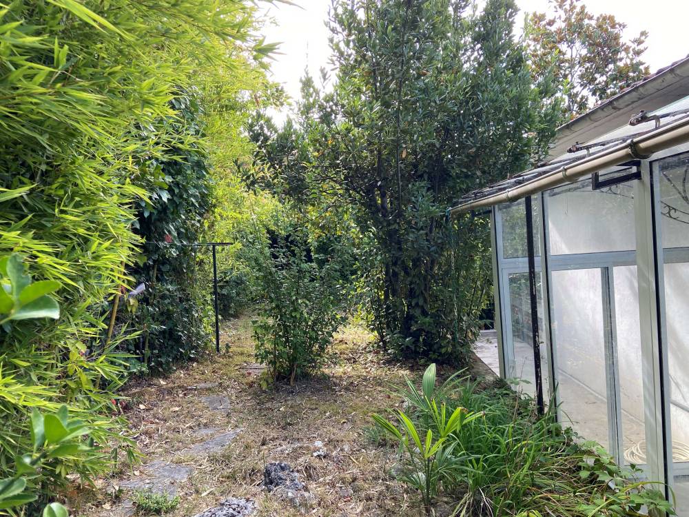jardin 2
